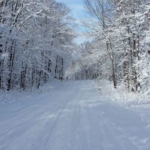 Meet your Posher, Deb